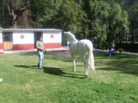 /album/fotogaleria/a26-espa-jpg/